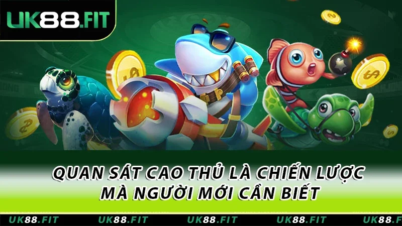 Quan sát cao thủ là chiến lược mà người mới cần biết Quan sát cao thủ là chiến lược mà người mới cần biết