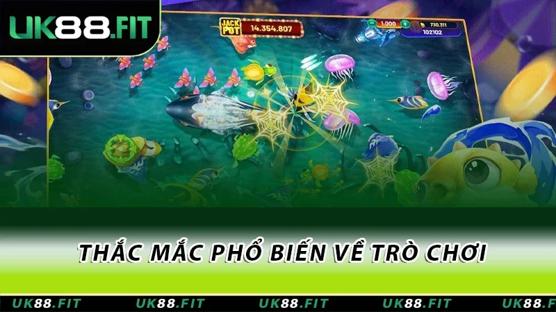 Thắc mắc phổ biến về trò chơi Chúa tể đại dương Thắc mắc phổ biến về trò chơi Chúa tể đại dương