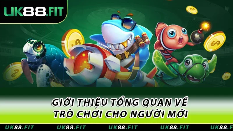Giới thiệu tổng quan về trò chơi cho người mới Giới thiệu tổng quan về trò chơi cho người mới