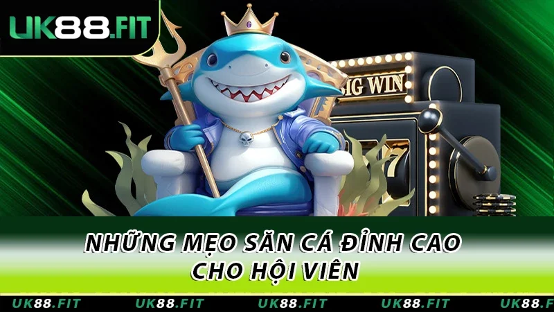 Những mẹo săn cá đỉnh cao cho hội viên Những mẹo săn cá đỉnh cao cho hội viên